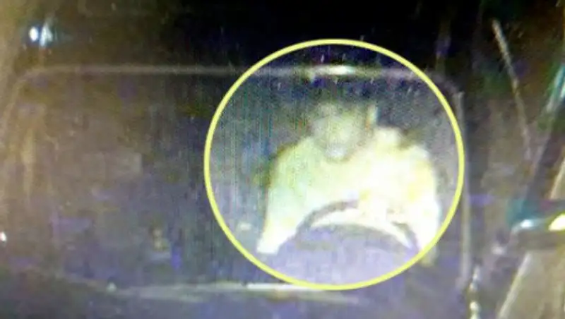 Казахстанец, сбивший ребенка в Южной Корее, извинился за ДТП