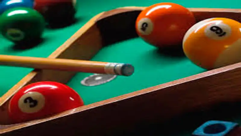 С начала 2013 года поставлено на учет 98 бильярдных столов