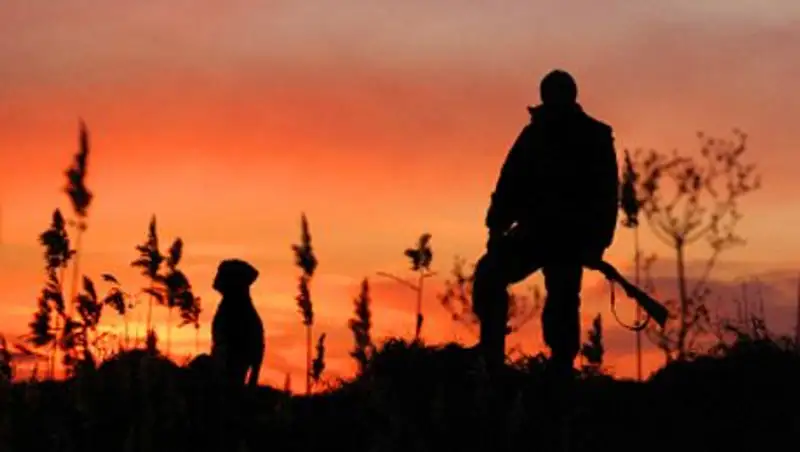 В Аягозском районе ВКО браконьеры затравили собаками двух косуль