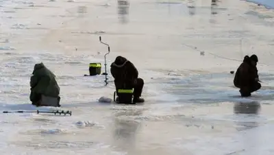 Zakon.kz, фото - Новости Zakon.kz от 13.02.2017 18:33