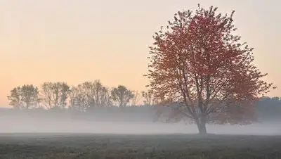 pxfuel.com, фото - Новости Zakon.kz от 13.10.2021 18:14