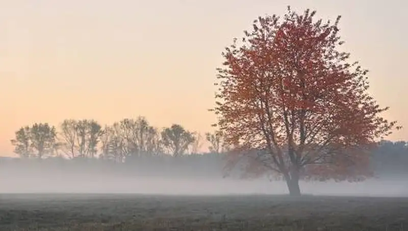 В четырех областях Казахстана объявлено штормовое предупреждение