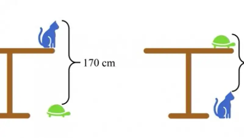Задача для китайских школьников поставила в тупик пользователей Интернета