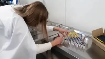 zakon.kz, фото - Новости Zakon.kz от 22.12.2020 20:01