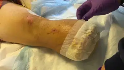 IncrediblyShinyShart, фото - Новости Zakon.kz от 14.06.2018 06:33