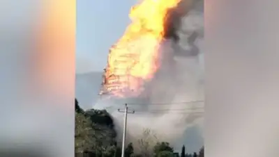 Скриншот с видео, фото - Новости Zakon.kz от 10.12.2017 21:41