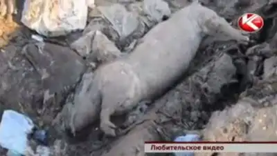 Zakon.kz, фото - Новости Zakon.kz от 25.04.2014 15:03