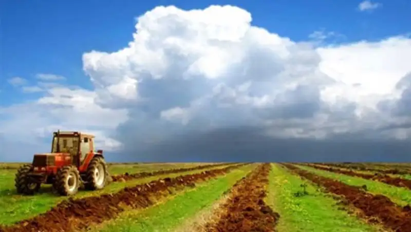В Казахстане площади зерновых культур текущей весной составили около 16 млн га