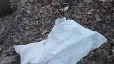 Zakon.kz, фото - Новости Zakon.kz от 10.08.2016 01:03