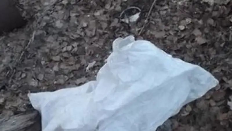 Тело новорожденного найдено на стадионе школы в Капшагае