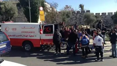 Фото: РИА Новости / Дмитрий Виноградов, фото - Новости Zakon.kz от 08.12.2017 18:01