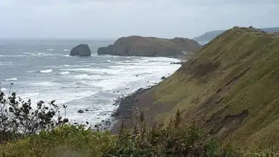 rossaprimavera, фото - Новости Zakon.kz от 11.03.2021 08:59