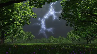 kurer-sreda.ru, фото - Новости Zakon.kz от 18.06.2019 08:58