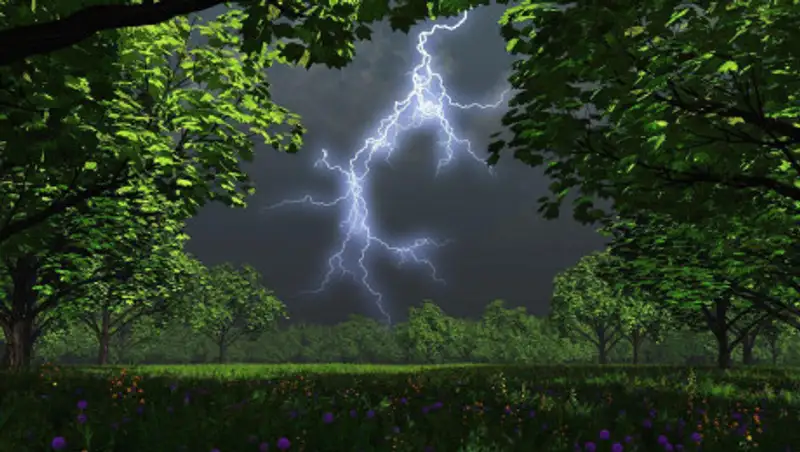 Только в двух регионах страны 18 июня ожидается погода без осадков