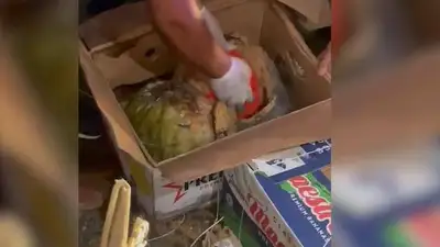 Канал транзита крупной партии героина пресекли в Павлодаркской области , фото - Новости Zakon.kz от 31.07.2023 08:08