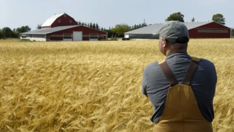 Аграрии Казахстана и Узбекистана обсудили вопросы обмена опытом