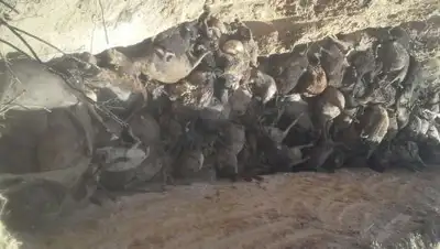 Zakon.kz, фото - Новости Zakon.kz от 11.07.2017 21:21