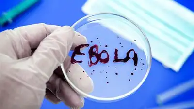 Zakon.kz, фото - Новости Zakon.kz от 08.08.2014 17:21