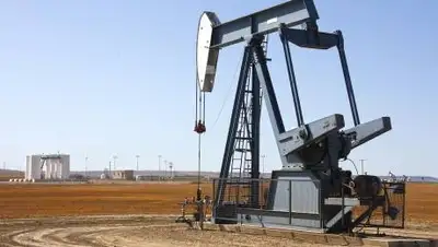 Pixabay, фото - Новости Zakon.kz от 01.12.2020 01:14