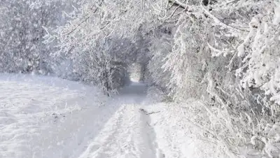 Фото: bipbap.ru, фото - Новости Zakon.kz от 16.01.2018 09:37