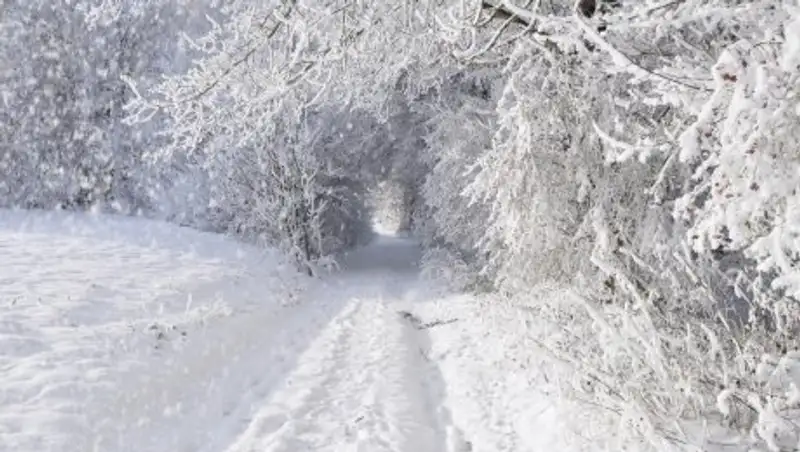 В ряде регионов Казахстана 16 января сохранится снегопад