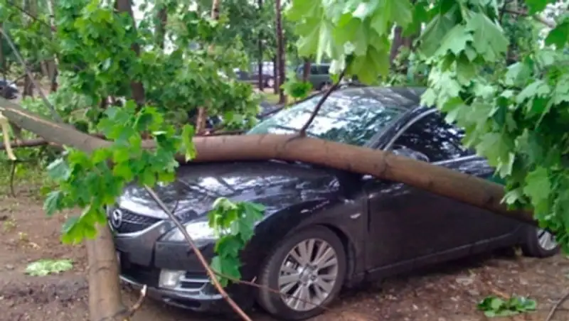 Н&#1257;сер жауыннан к&#1257;лігіне а&#1171;аш &#1179;&#1201;ла&#1171;ан ж&#1199;ргізуші шы&#1171;ынды &#1257;ндіре алмай ж&#1199;р