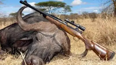 Zakon.kz, фото - Новости Zakon.kz от 03.11.2017 14:58