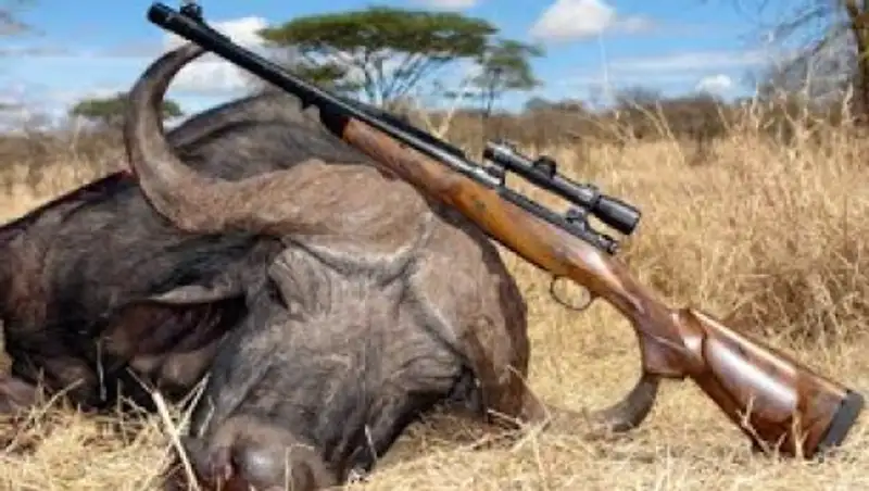 Аң-құсты заңсыз аулағандардың жолы кесілді