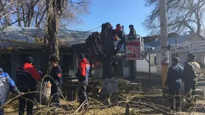 Zakon.kz, фото - Новости Zakon.kz от 04.11.2016 21:03