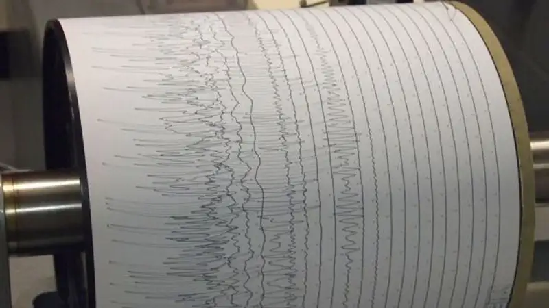 Сейсмологи зафиксировали землетрясение в 400 км к югу от Алматы