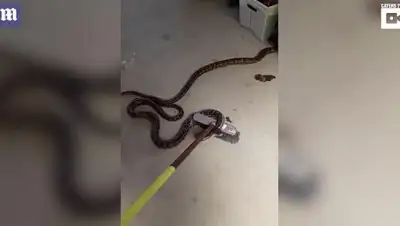 Zakon.kz, фото - Новости Zakon.kz от 30.09.2017 11:46