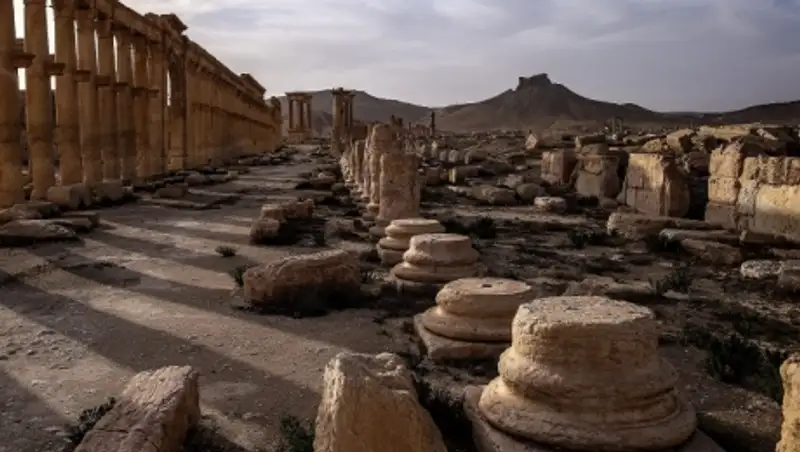 США положительно оценили освобождение Пальмиры, но поздравлять Асада не будут