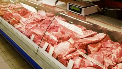 Zakon.kz, фото - Новости Zakon.kz от 17.03.2016 13:25