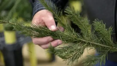 Zakon.kz, фото - Новости Zakon.kz от 27.12.2014 20:09