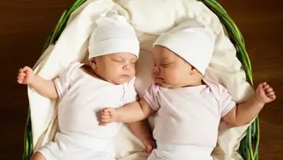 Zakon.kz, фото - Новости Zakon.kz от 16.01.2017 22:23