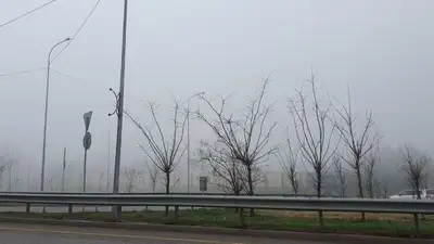 Густой туман накрыл Алматы, фото - Новости Zakon.kz от 31.03.2023 09:04