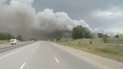 Кадр из видео, фото - Новости Zakon.kz от 10.06.2020 19:01