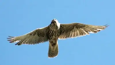 Zakon.kz, фото - Новости Zakon.kz от 15.11.2013 18:52