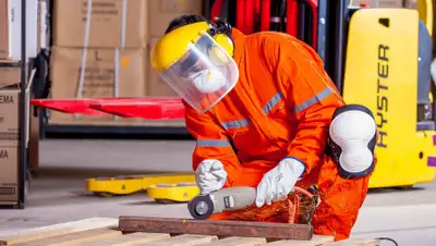 pixabay.com, фото - Новости Zakon.kz от 24.05.2019 19:19