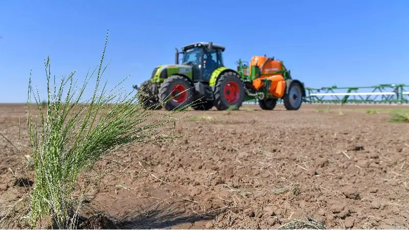 В Казахстане установят предельные размеры земельных участков с/х назначения, которые можно сдавать в аренду