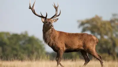 Zakon.kz, фото - Новости Zakon.kz от 03.11.2015 01:00