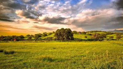 million-wallpapers, фото - Новости Zakon.kz от 04.06.2020 06:03