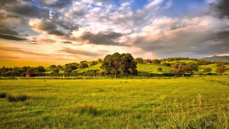 4 июня местами по республике пройдут дожди с грозами