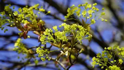 joinfo.ua, фото - Новости Zakon.kz от 17.04.2020 06:00