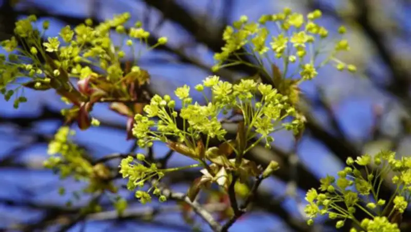 17 апреля на большей части РК ожидается погода без осадков