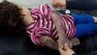 Zakon.kz, фото - Новости Zakon.kz от 23.10.2017 08:52