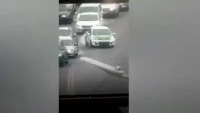 кадр из видео, фото - Новости Zakon.kz от 25.01.2021 10:07