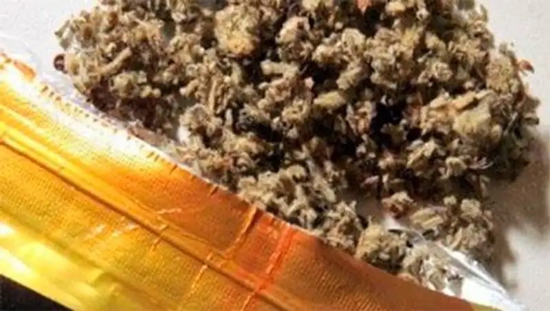 Популярность спайсов в Казахстане угрожающе растет