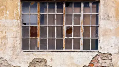 vseon.com, фото - Новости Zakon.kz от 23.08.2019 14:56