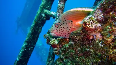 море, фото - Новости Zakon.kz от 02.01.2022 08:24